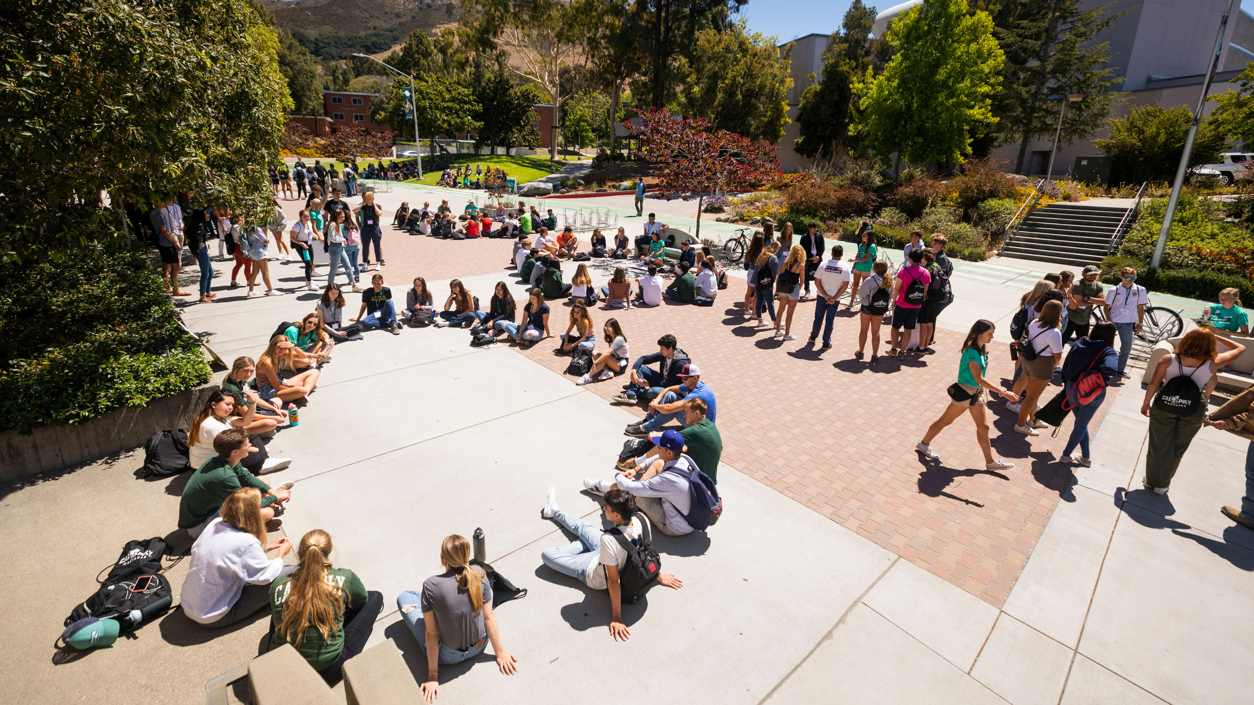 students participate in week of welcome along Mustang Way on campus