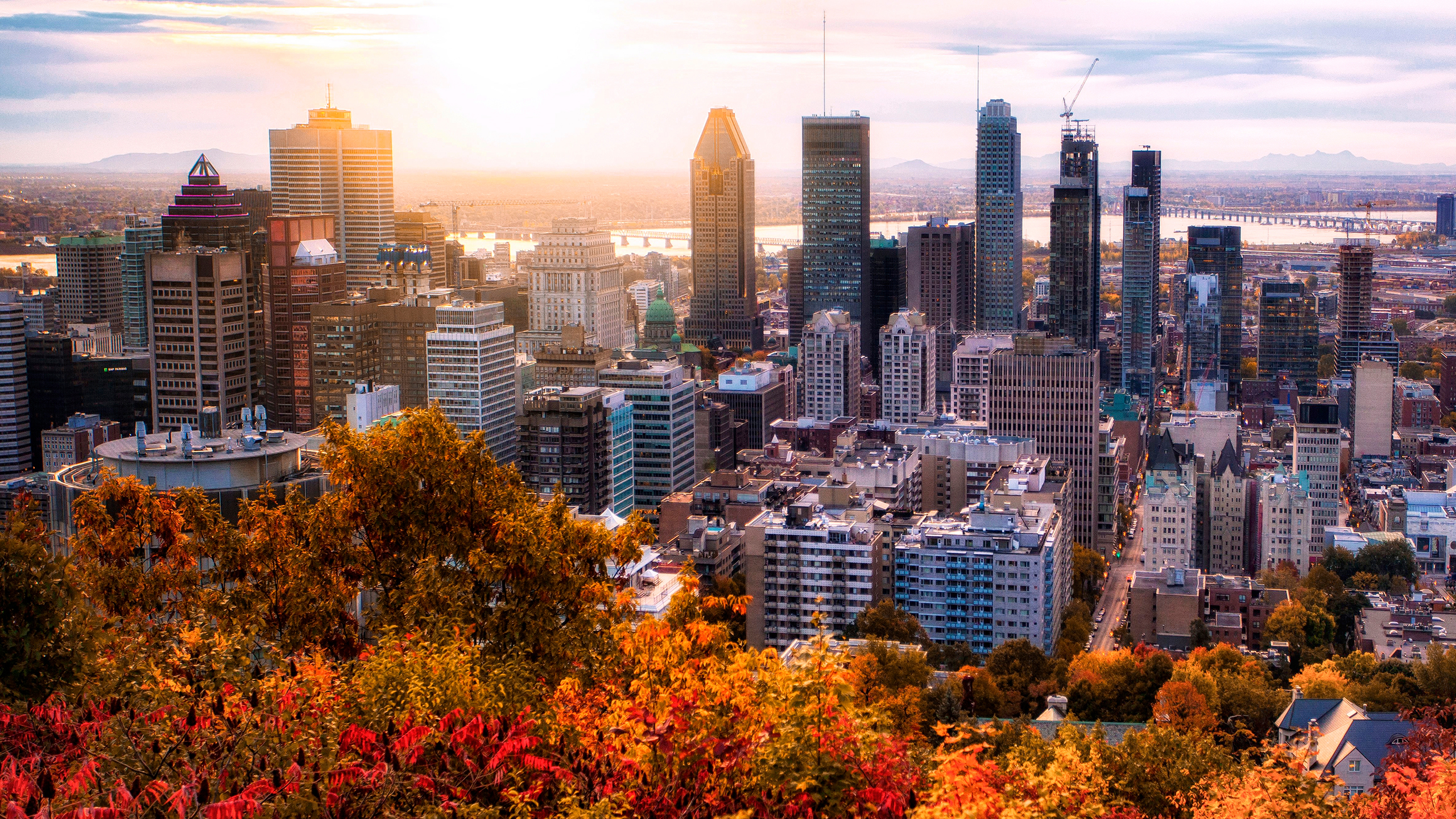 Montreal sunrise with colorful leaves