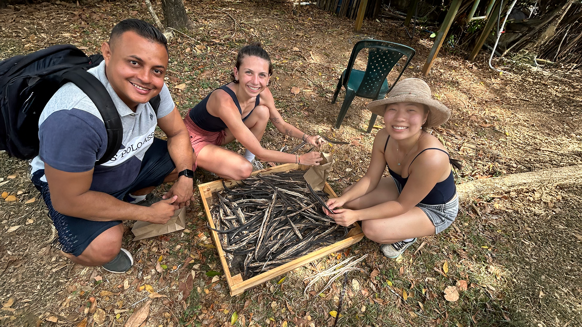 Panama-students Three students smile while working outdoors, sorting dried seed pods into paper bags. They are seated on the ground around a wooden tray filled with pods, surrounded by dry leaves and trees. One student wears a wide-brimmed hat, and another has a backpack, suggesting a hands-on learning experience in a natural setting.