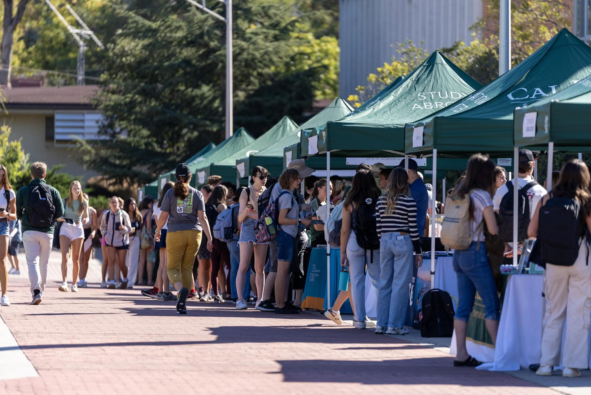 Students browse booths under green tents during a campus event promoting study abroad programs. The walkway is crowded with people, and each tent represents a different destination or program, with informational materials displayed on tables. The atmosphere is lively and sunny.