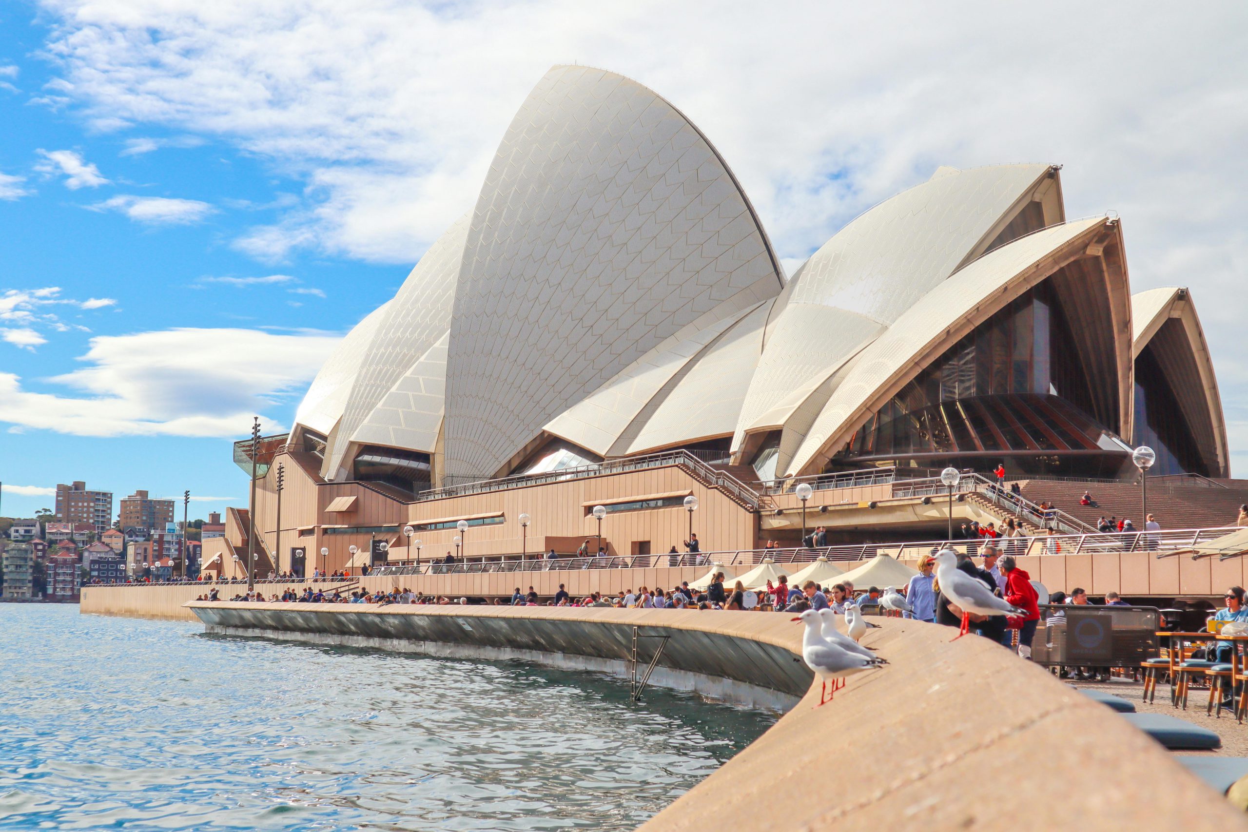 Sydney Opera House with seagulls perched along the harbor promenade in Australia.
